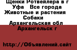 Щенки Ротвейлера в г.Уфа - Все города Животные и растения » Собаки   . Архангельская обл.,Архангельск г.